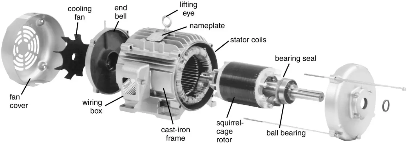 Three Phase Induction Motor Construction Electrical Academia