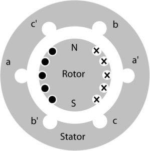 Cross section of a round-rotor synchronous generator