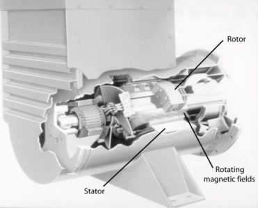 Cutaway view of a synchronous motor