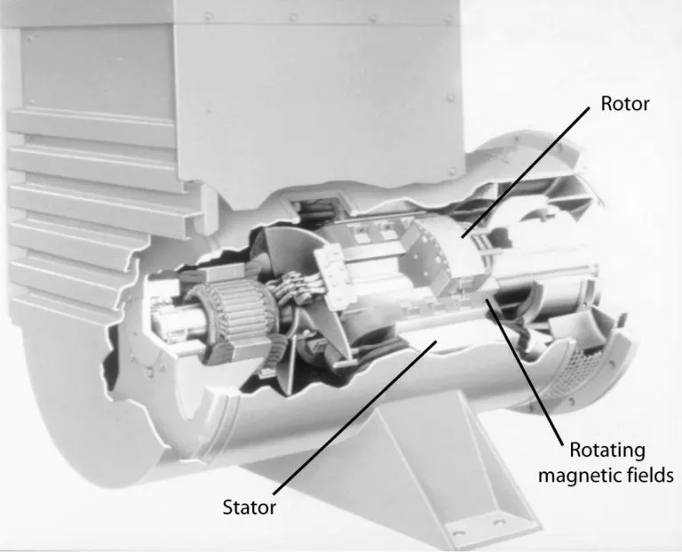 Cutaway view of a synchronous motor