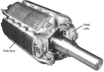 Six-pole, salient-pole synchronous motor rotor