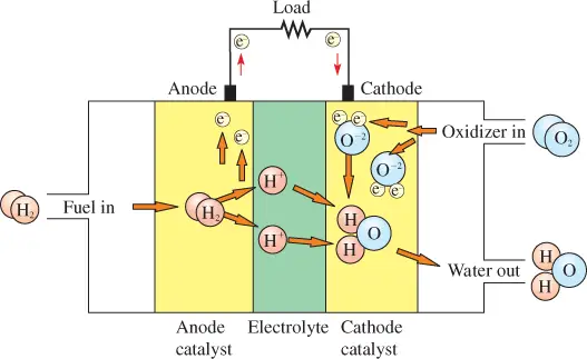 Diagram of a Typical Fuel Cell