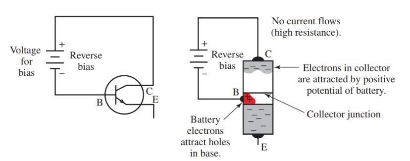 Reverse bias for collector junction in an NPN transistor