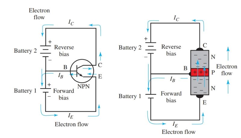 Forward and reverse bias in an NPN transistor amplifier circuit.