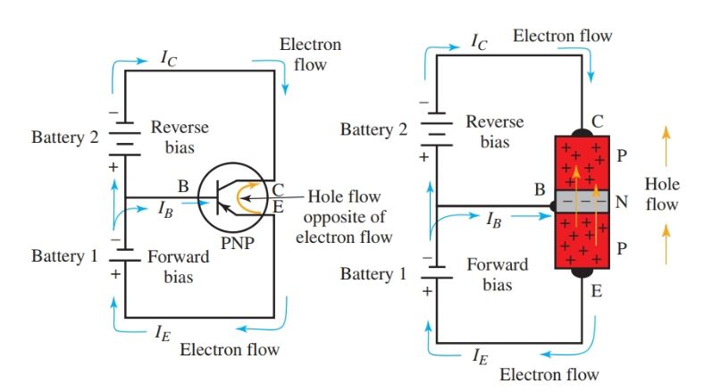 Forward and reverse bias in a PNP transistor amplifier circuit.