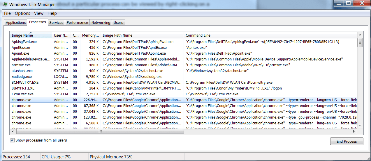 Screen displaying all running tasks with more than the default columns in the Processes Tab of the Task Manager :Computer Maintenance and Security