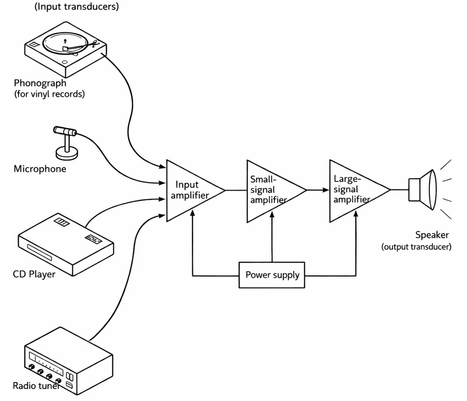 Functions of the Amplifying System