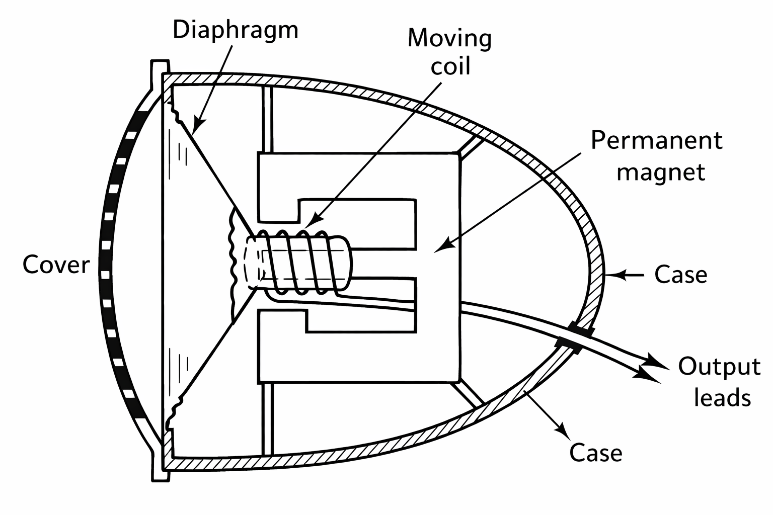 Structure of a dynamic microphone.